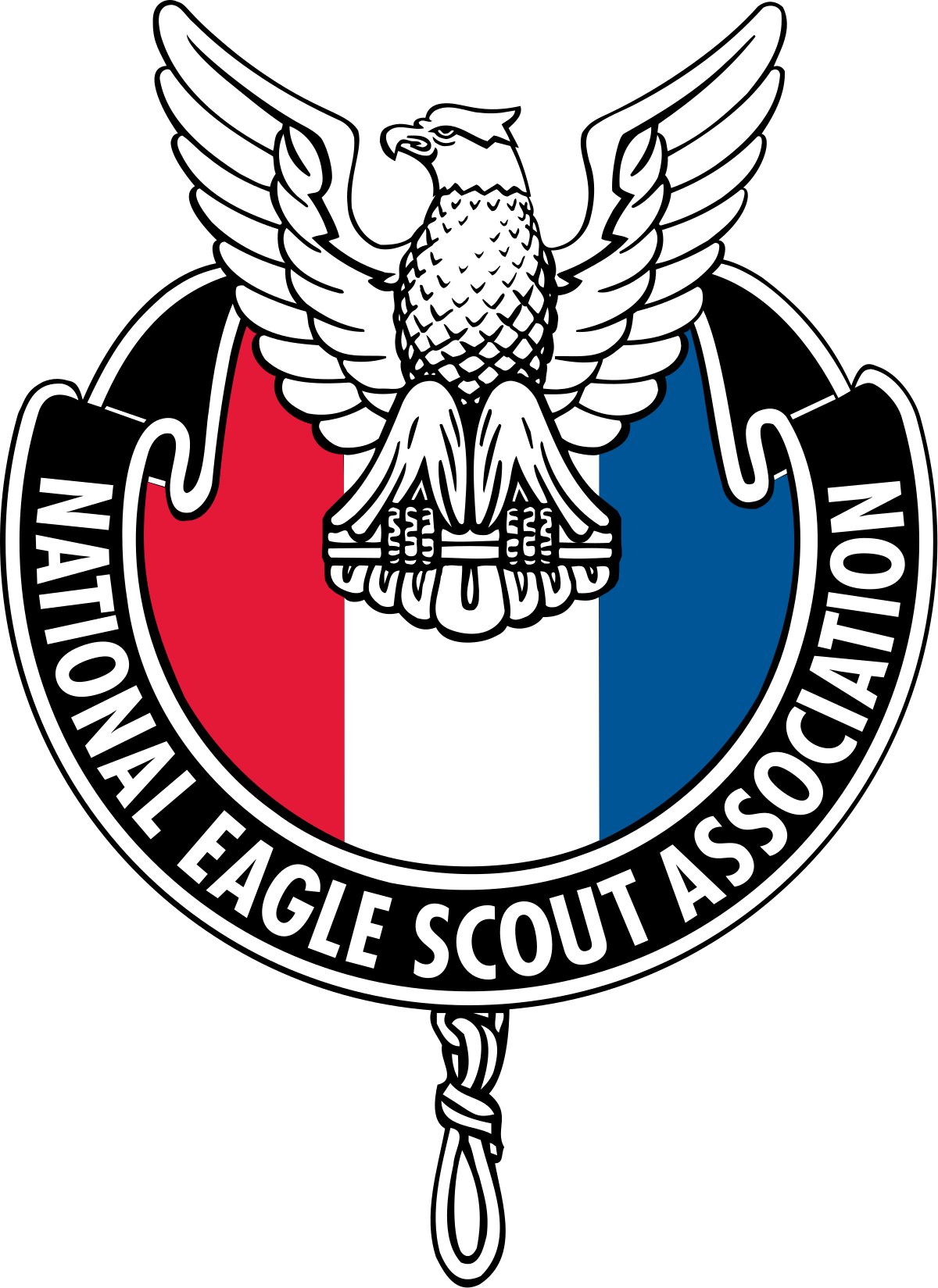 Eagle Scout